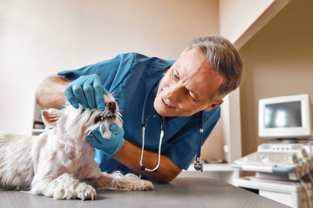 Best Emergency Tooth Extraction in Panama City Beach, FL
